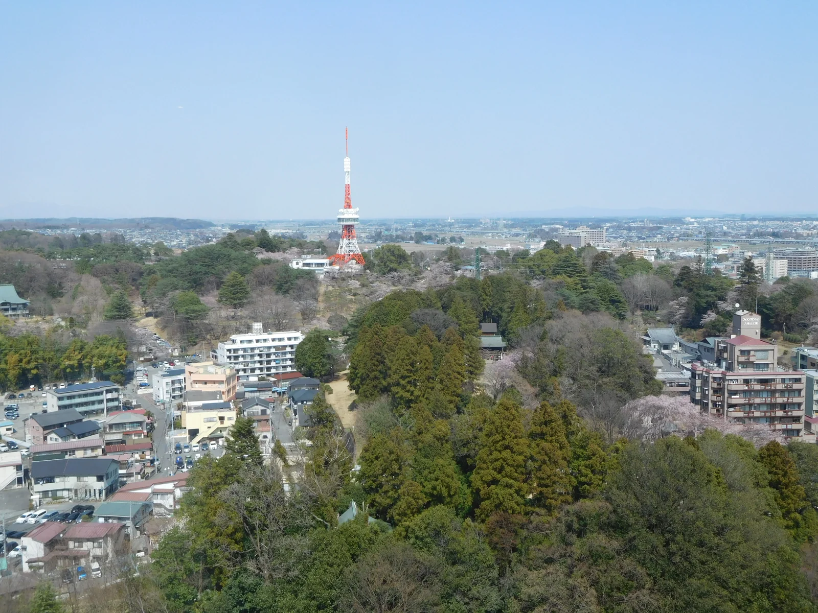 八幡山公園と宇都宮の街並み